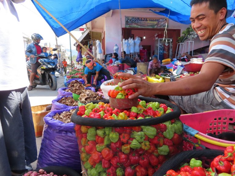 スラウェシ島の秘境!死のために生きる町!トラジャ インドネシア大好き