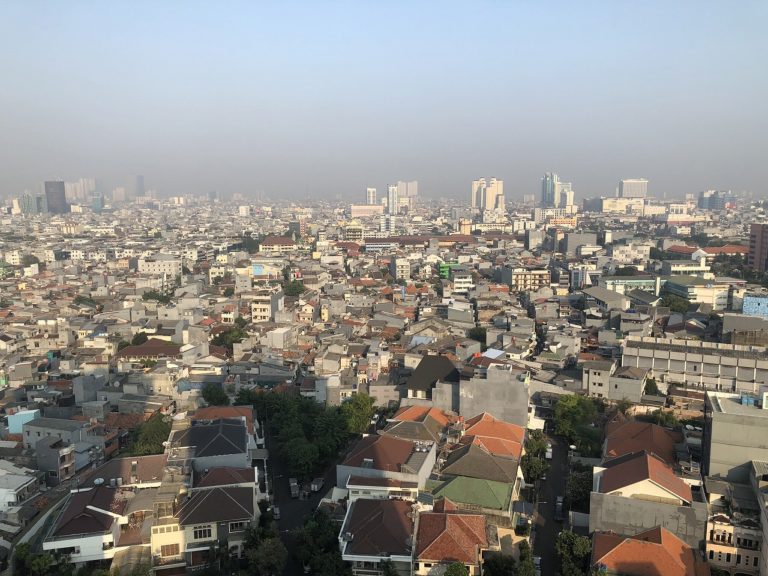 【インドネシアマーケット】最大の魅力は1.8億人の中間層