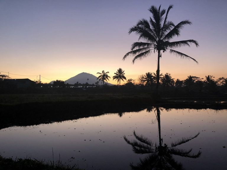 インドネシア・バリ島のセバツ村 のどかな田園風景に心が癒やされます