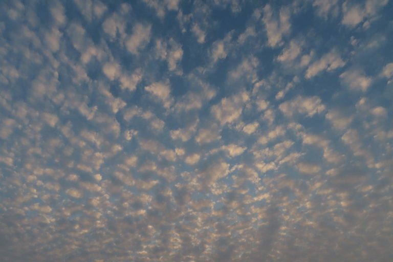 GO TOトラベルキャンペーン東京除外を考える