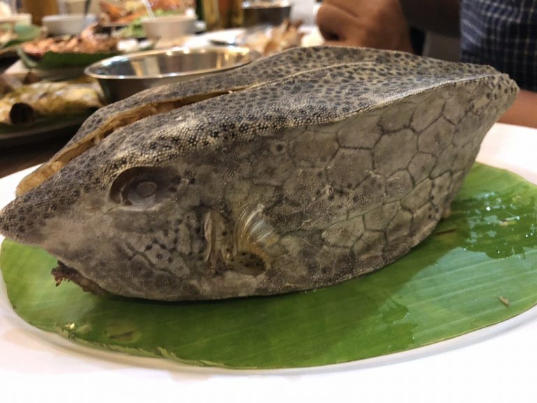 【ふぐ毒に注意？！】見た目もたのしいハコフグを食べるマカッサル