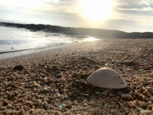 マカッサルの海岸