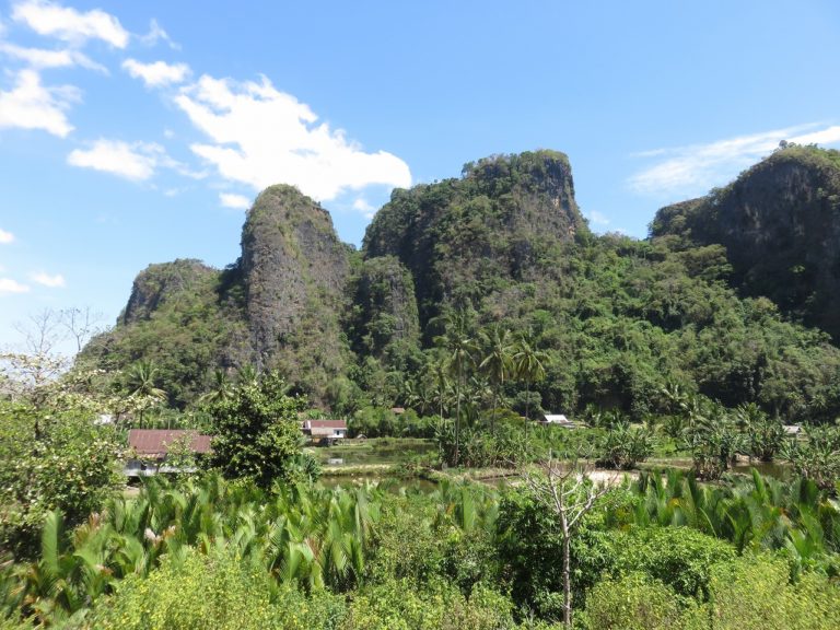 【インドネシア古代ロマン】マカッサル近くの洞窟で世界最古の壁画が見つかる