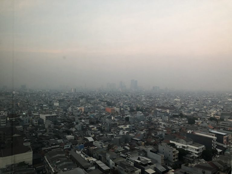 【インドネシア】中央銀行政策金利、過去最低の3.5％へ利下げ