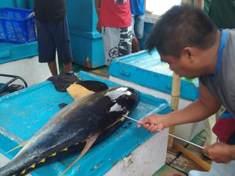 【マグロ漁獲世界一】インドネシア産マグロをもっと知ろう‼
