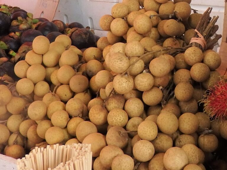 【インドネシア果物】食べ始めたら止まらない！ランサ！どんな果物⁉