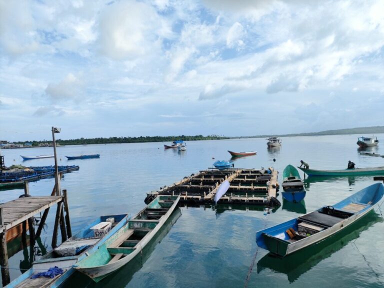 【インドネシア渡航】ワカトビ・ワンギワンギ島滞在記①