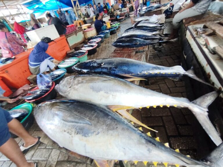 【インドネシア渡航】ワカトビ・ワンギワンギ島滞在記②
