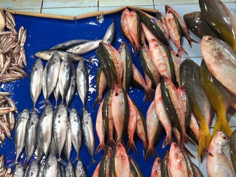 【インドネシア】マカッサルの近所のパサールで買い物!