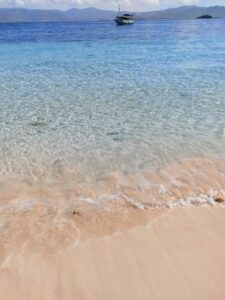 【コモド島ツアー】パダル島ピンクビーチの幻想的な天然の色彩美を楽しむ！ インドネシア大好き