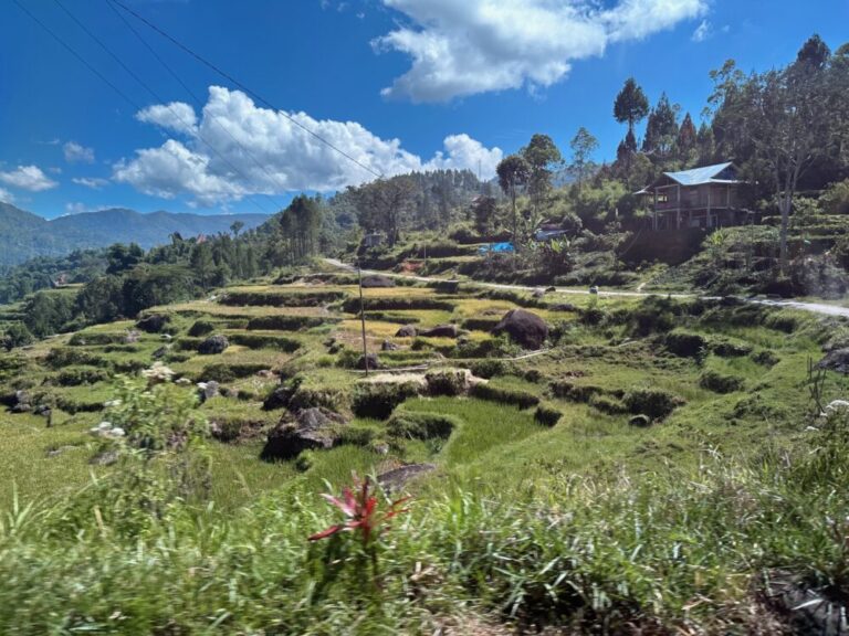 「タナ・アイル」で感じるインドネシアの豊かな風土！土地と水から生まれる故郷の愛