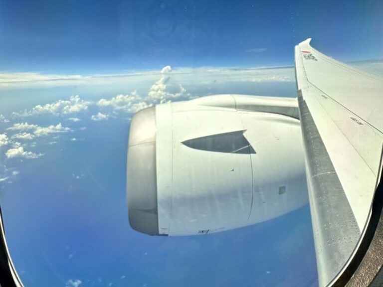 ジャカルタ行き昼便で贅沢な空の旅を楽しむ！JALビジネスクラス搭乗記