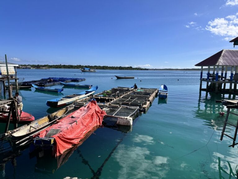 南東スラウェシのワンギワンギ島の夕食体験！バジャウ族の文化と新鮮な海の恵みを味わう