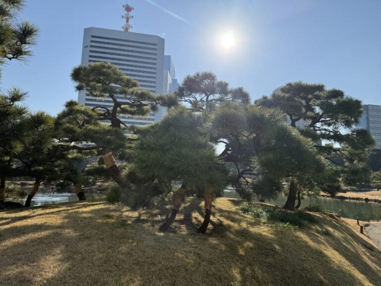 日本で感じる小さな幸せ！海外駐在から一時帰国した私が満喫する5つの楽しみ