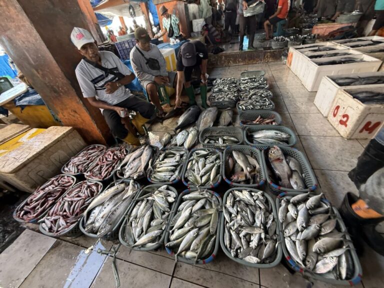 活気あふれる魚の街・マカッサル！魚市場パオテレ市場に行ってきた！