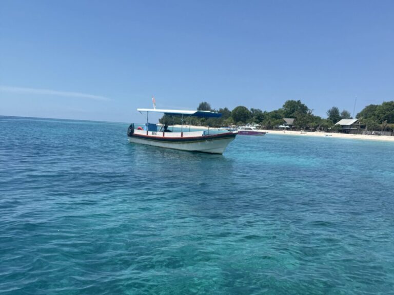 ギリ・トラワンガン再訪！シュノーケリングツアーで絶景の海中世界を堪能