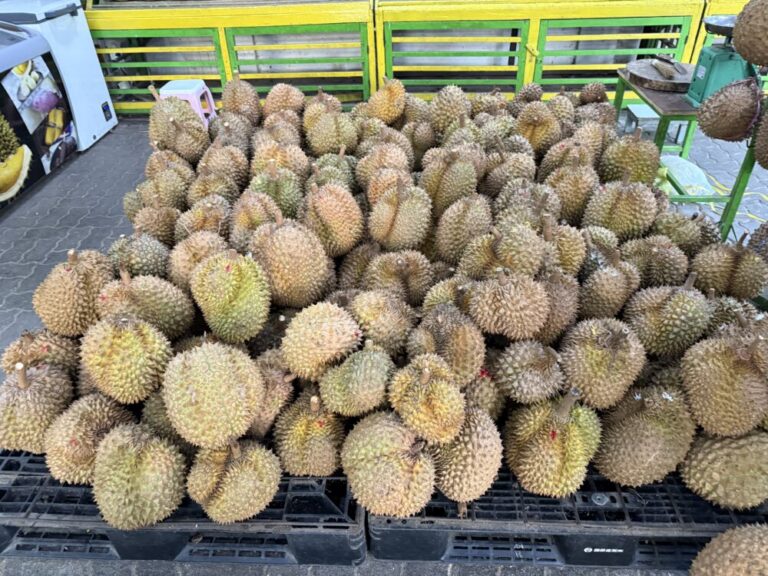 マカッサルでおすすめのドリアン店！Olympic Durianで食べる旬のパル産ドリアン