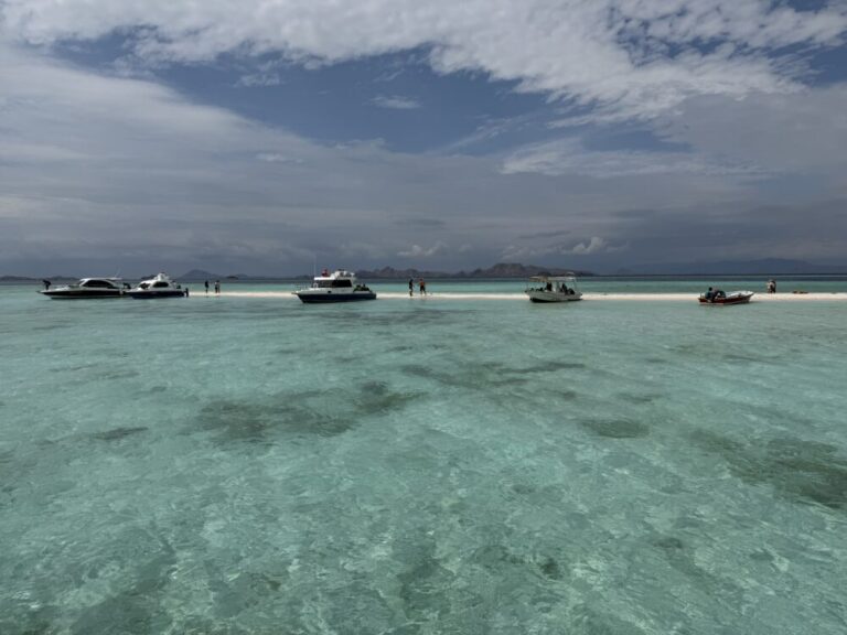 コモド国立公園の奇跡の海！タカマカッサルとウミガメに感動するシュノーケル体験
