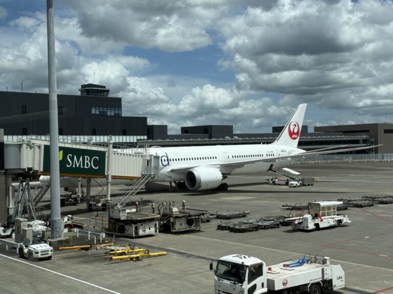 JAL725便でジャカルタへ！特別塗装JA861Jと非常口席45Aで味わう快適フライト
