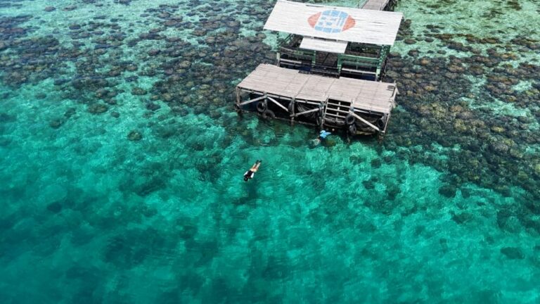 癒やしの海へ！パナンブンガン島で楽しむ透明度抜群のシュノーケリング体験