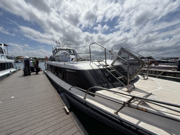 【2025最新版】バリ空港からレンボンガン島へ行く方法！サヌール港での乗船手順と料金