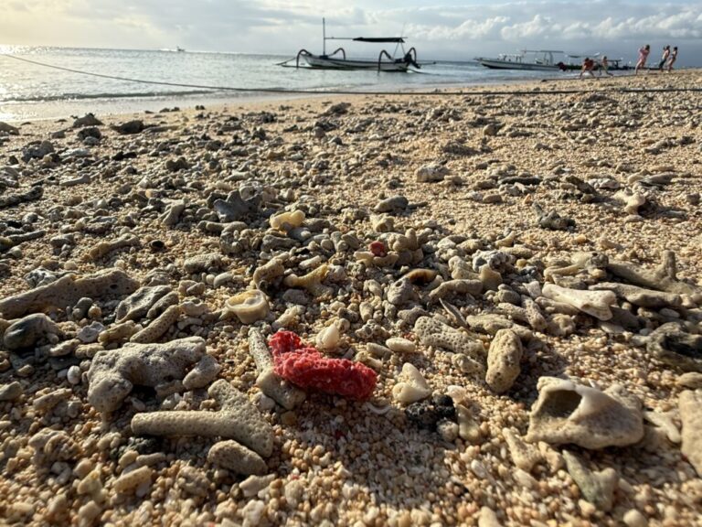 【レンボンガン島】ビーチカフェで癒やしの午後と、Kenya Coffeeで迎える最高の夕陽