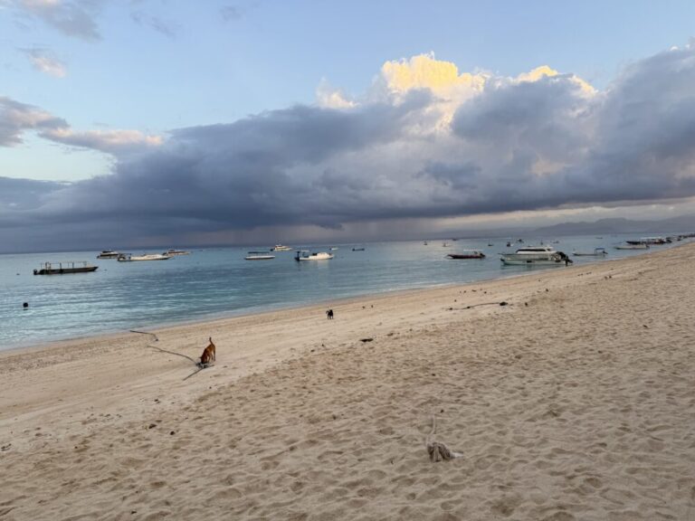 【レンボンガン島最終日】朝の散歩と荷台タクシーで向かうマッシュルームビーチ