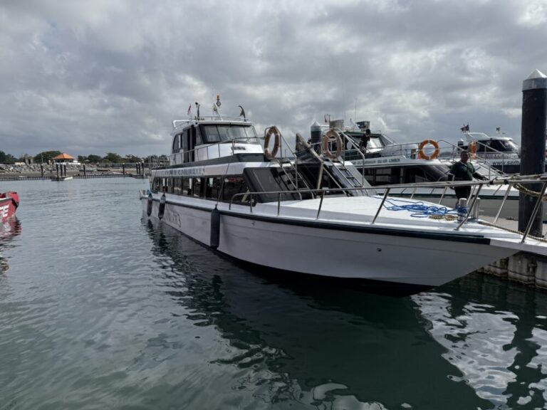 【レンボンガン島からサヌールへ】マッシュルームビーチ発！大揺れスピードボートで帰る！