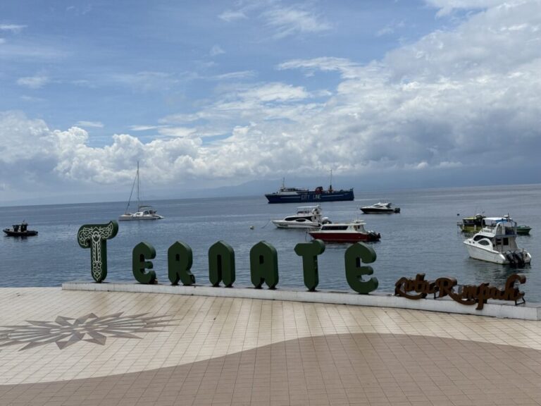 【テルナテ旅行記】スルタン・バブラー空港到着から市内観光、アンコット体験とベラホテル滞在