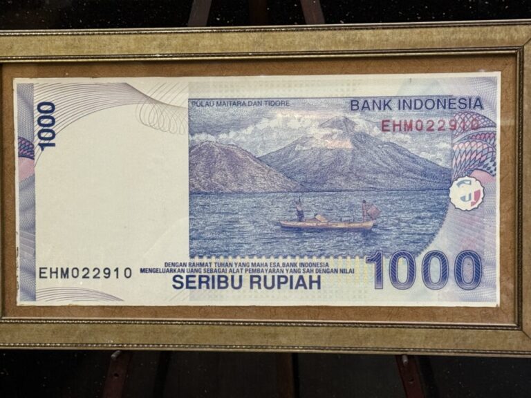 1000ルピアの旅！テルナテからティドレ島経由でマイタラ島へ船で上陸