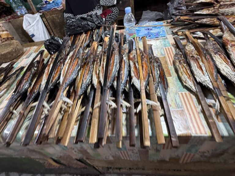 マイタラ島の海と小舟とカツオ料理「イカン・チャカラン・フフ」