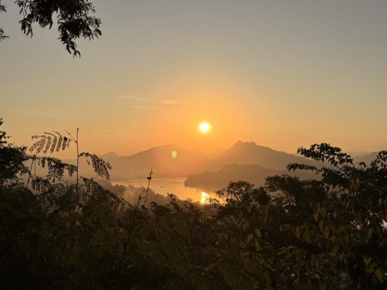 2026年、はじまりの日。言葉より行動で、ここから取り返す一年にする