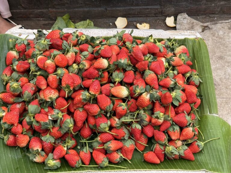 旅の終わりは、朝の匂いから始まる、ルアンパバーンの穏やかな朝