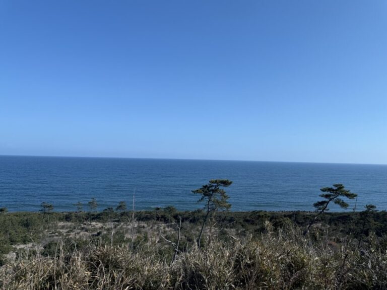 なぜ人は折れるのか。海外拠点×日本補給という生き方と「折れない設計」