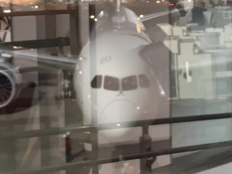 夜のビジネスクラスでジャカルタへ、 JAL729便で“整う”移動、到着後はタイムアタックの予感