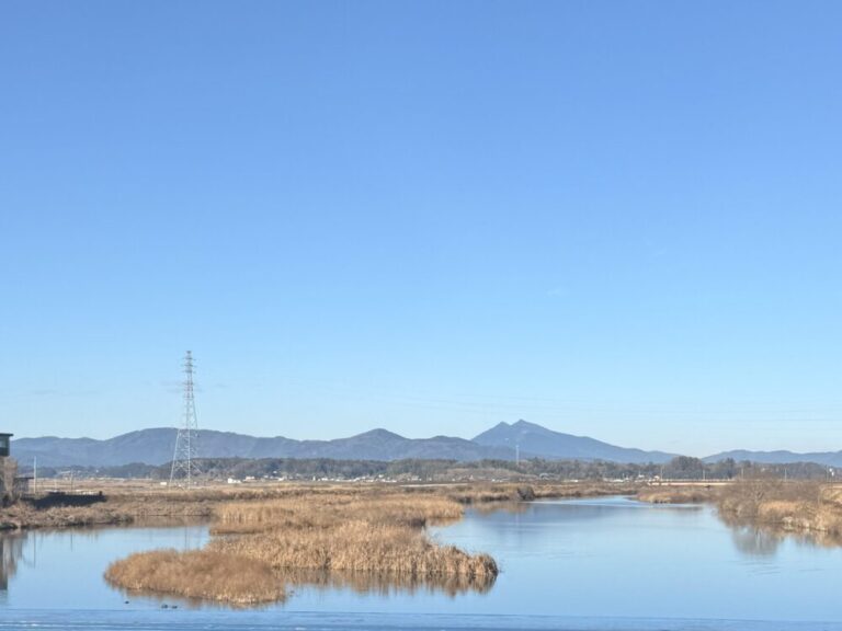 海外拠点×日本補給で、メンタルが折れなくなった話「強くなった」のではなく、「折れなくなった」