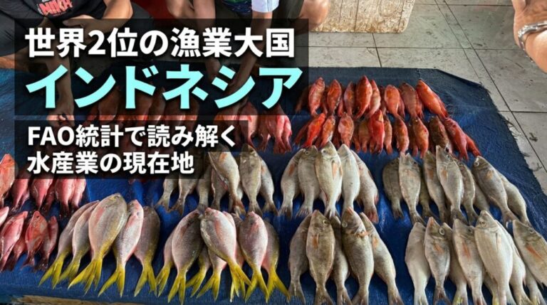 世界2位の漁業大国インドネシア ― FAO統計が示す世界水産ランキングと日本の現状