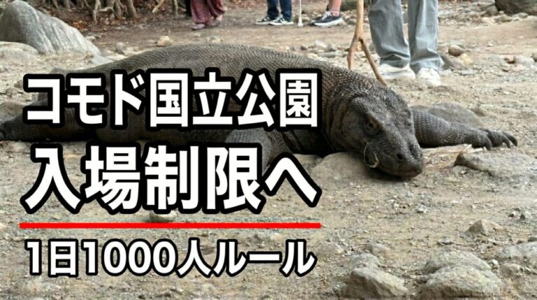 コモド国立公園が入場制限へ！世界遺産「1日1000人」ルールの衝撃
