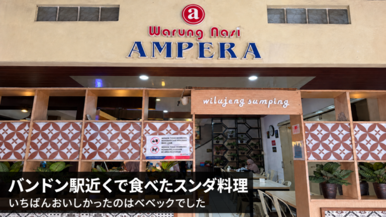 バンドン駅近くで食べたスンダ料理。いちばんおいしかったのはベベックでした